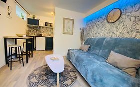 Charmant Studio A Talence